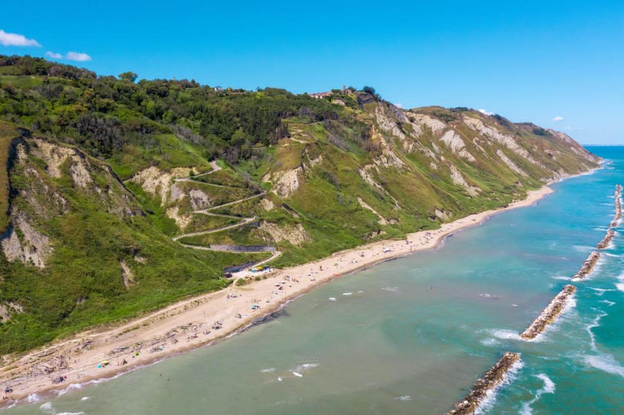Il Mare In Collina - Le Ortensie Di Liliana *