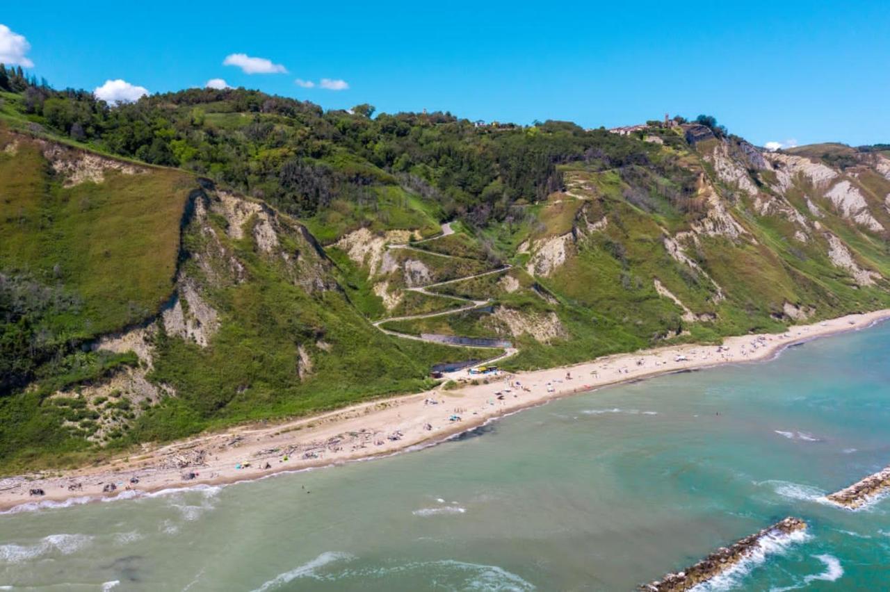Il Mare In Collina - Le Ortensie Di Liliana Fiorenzuola di Focara